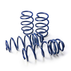 Lowering Springs ?></picture>