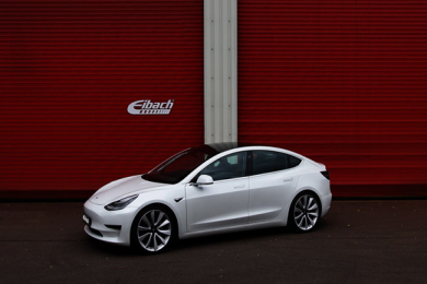 Eibach Lowering Springs for Tesla Model 3